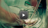 lhochsteinmd.com  Plastic Surgeon