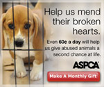 Donate ASPCA