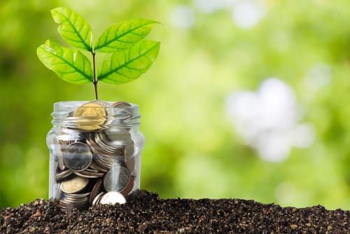 Savings money jar full of coins on soil-img-blog