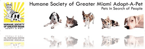 Humane Society